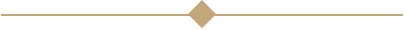 diamond divider line@2x