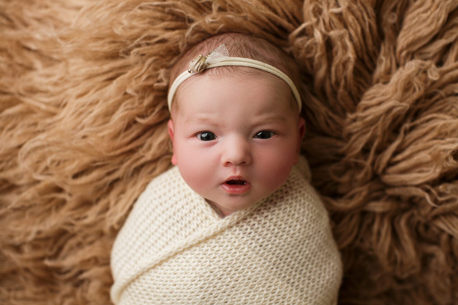Perryville newborn, st Louis Missouri newborn, Cape Girardeau newborn photographer, awake baby, brown fuzzy backdrop, photography studio newborn, baby girl looking at camera, suprised expression
