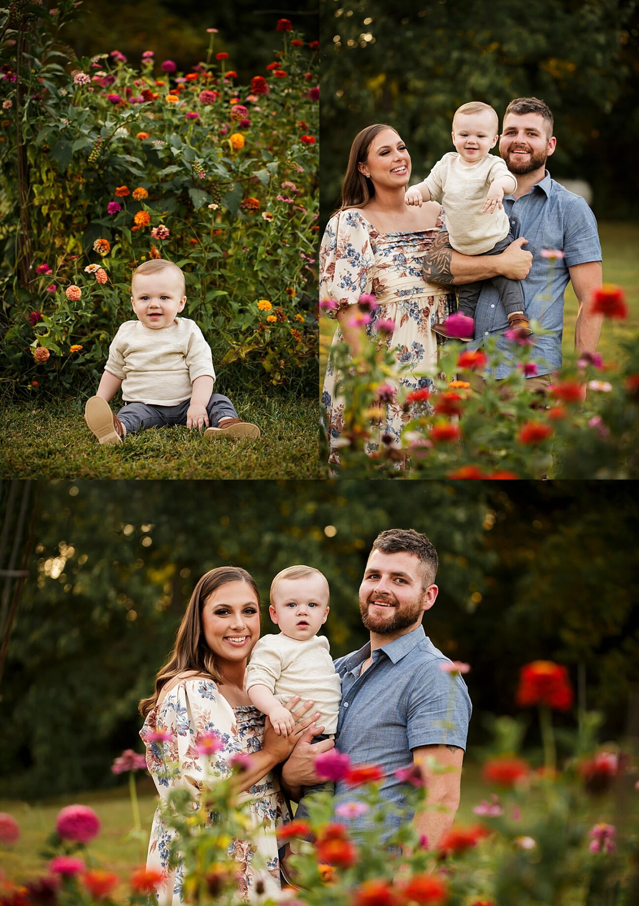 st Louis Missouri Newborn family photographer, Farmington Missouri Newborn family photographer, perryville Missouri Newborn family photographer, field of zinnias, zinnias, summer flowers, family, family session, green flowers, summer, fall, missouri family photographer